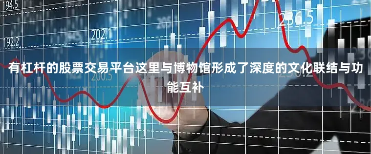 有杠杆的股票交易平台这里与博物馆形成了深度的文化联结与功能互补