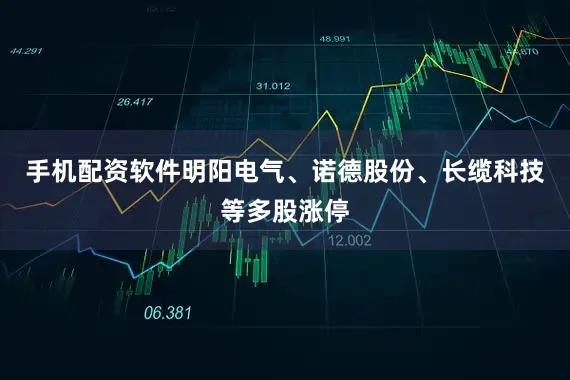 手机配资软件明阳电气、诺德股份、长缆科技等多股涨停