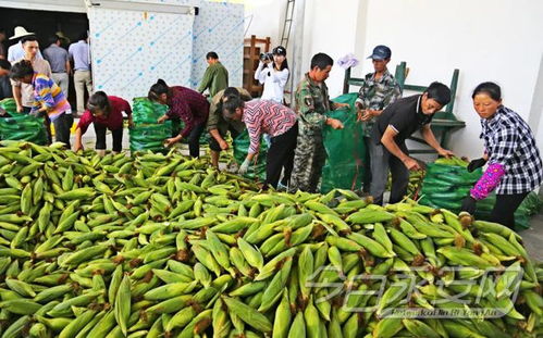 青水畲族乡加快产业转型升级为高质量发展夯实根基