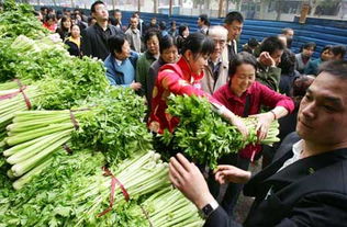 芹菜等农产品销售难问题引起国务院重视