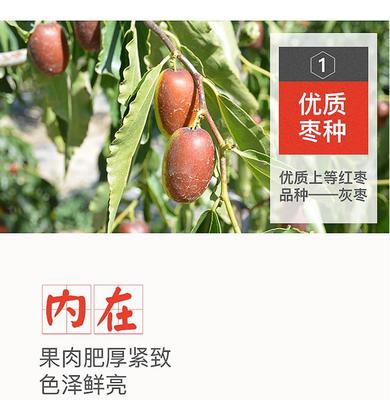 疆南域 阿克苏羌若红枣 新疆灰枣 500g*2袋